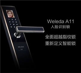 人脸识别锁优质销售商 永兴供