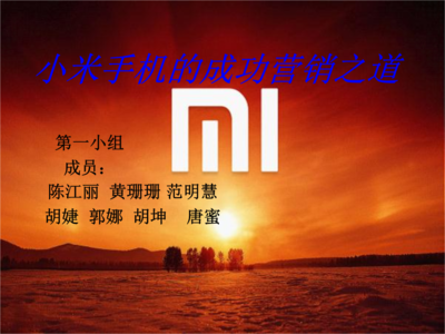 工商管理案例分析之小米手机.ppt