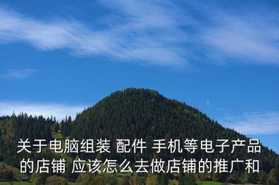 电脑配件网店的网络营销推广方案,关于电脑组装 配件 手机等电子产品的店铺 应该怎么去做店铺的推广和