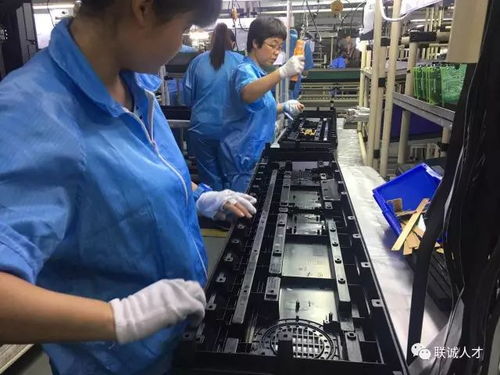不来怎么给您专场