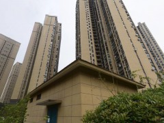 武汉海带电子商务欢迎您-企业信息