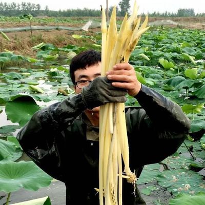 把家乡的“湖三鲜”放到网上卖,“排湖鲜生”火了!